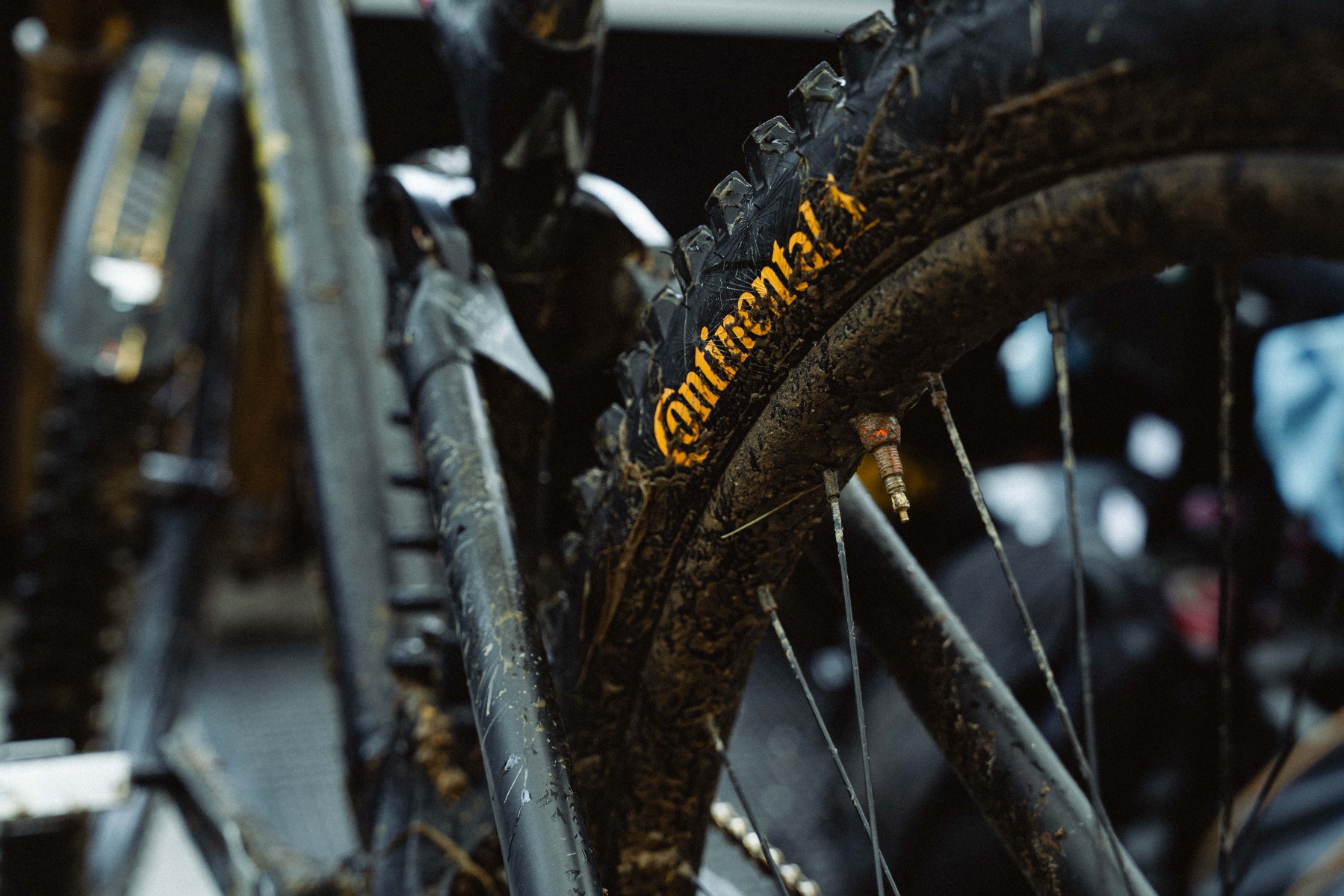 2024_05_DH_WC_Les_Gets_day_5_-_training_c_monica_gasbichler-44